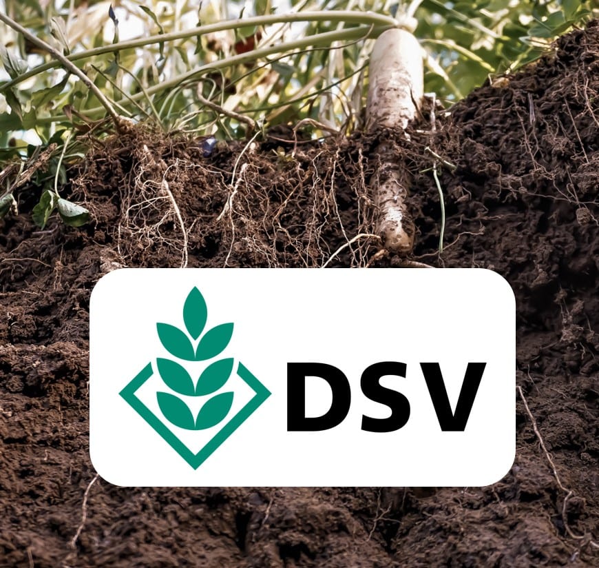 DSV Saatgut Österreich