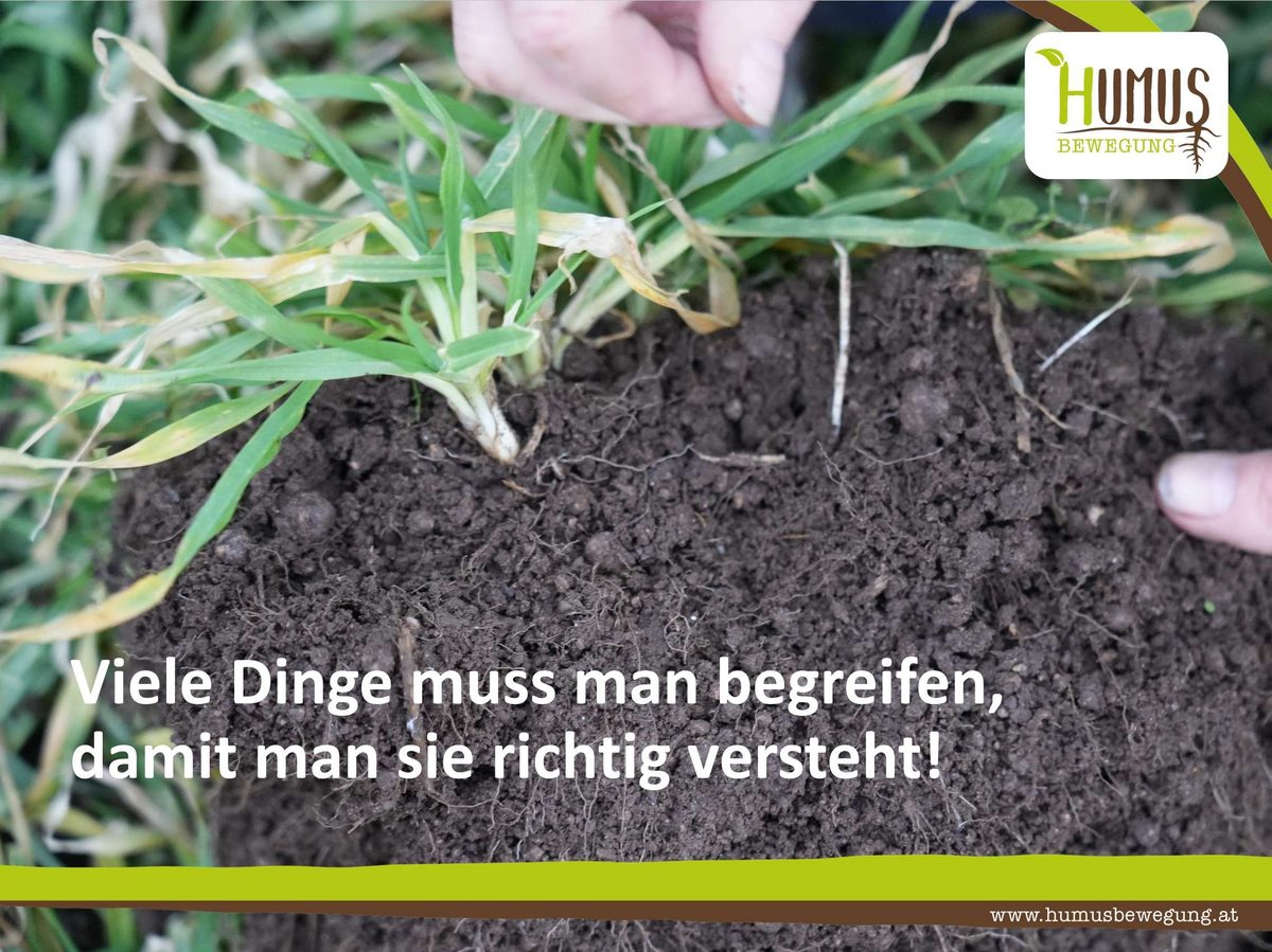 Bodenprofil mit Pflanzenwurzeln und dem Satz Viele Dinge muss man begreifen, damit man sie richtig versteht